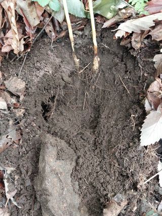 김봉호님의 작성글 사진