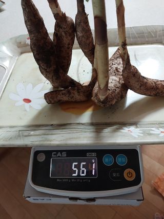 김봉호님의 작성글 사진