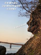 팜모닝 고구마·자유게시판 게시글 이미지