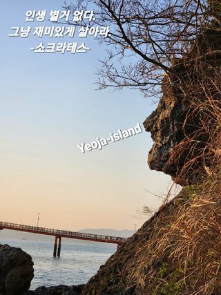 여수ds님의 고구마 · 자유게시판 작성글 사진