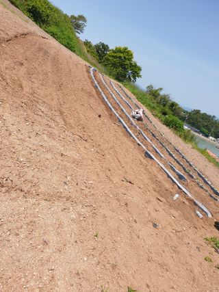 여수ds님의 고구마 · 자유게시판 작성글 사진