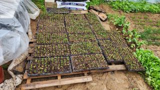 박재성님의 기타작물 · 자유게시판 작성글 사진