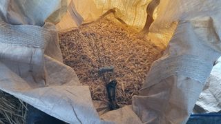 황의성님의 금쪽같은 내 작물 자랑하기 · 참여 작성글 사진