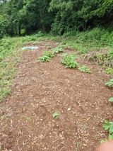 팜모닝 금쪽같은 내 작물 자랑하기·참여 게시글 이미지