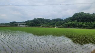 소백산오가피님의 자유주제 · 자유게시판 작성글 사진