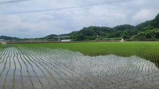 소백산오가피님의 자유주제 · 자유게시판 작성글 사진