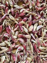 팜모닝 금쪽같은 내 작물 자랑하기·참여 게시글 이미지