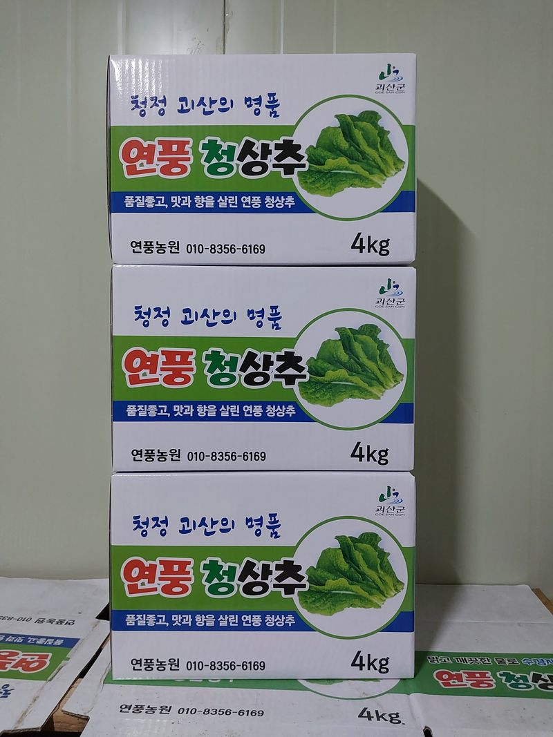 오승훈님의 장터 판매 상품 [청상추 4kg] 첨부 사진