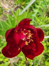 팜모닝 자유주제·자유게시판 게시글 이미지