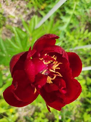 김광수님의 자유주제 · 자유게시판 작성글 사진