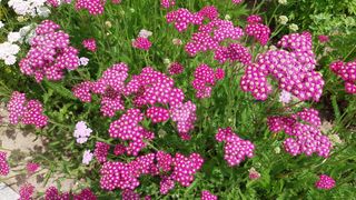 김광수님의 자유주제 · 자유게시판 작성글 사진