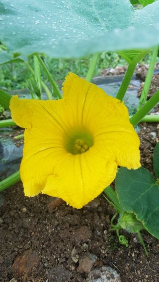 김광수님의 자유주제 · 자유게시판 작성글 사진