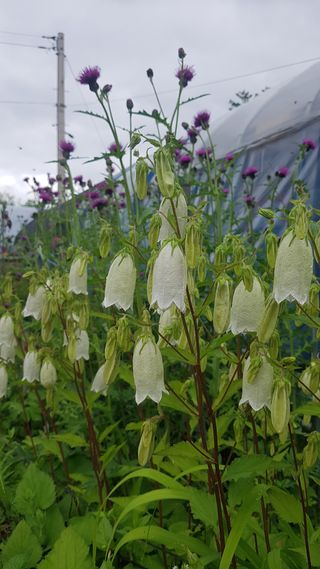 김광수님의 자유주제 · 자유게시판 작성글 사진