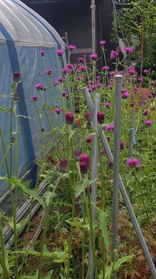 김광수님의 자유주제 · 자유게시판 작성글 사진