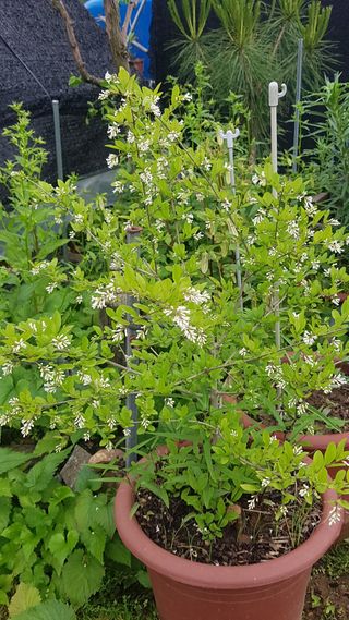 김광수님의 자유주제 · 자유게시판 작성글 사진