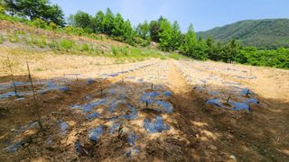 연지골농원_단야님의 금쪽같은 내 작물 자랑하기 · 참여 작성글 사진