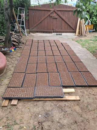 정선경님의 고추 · 일상 작성글 사진