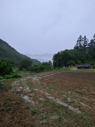 정선경님의 고추 · 일상 작성글 사진
