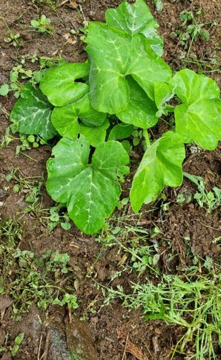 그린톡톡 오계상님의 자유주제 · 자유게시판 작성글 사진