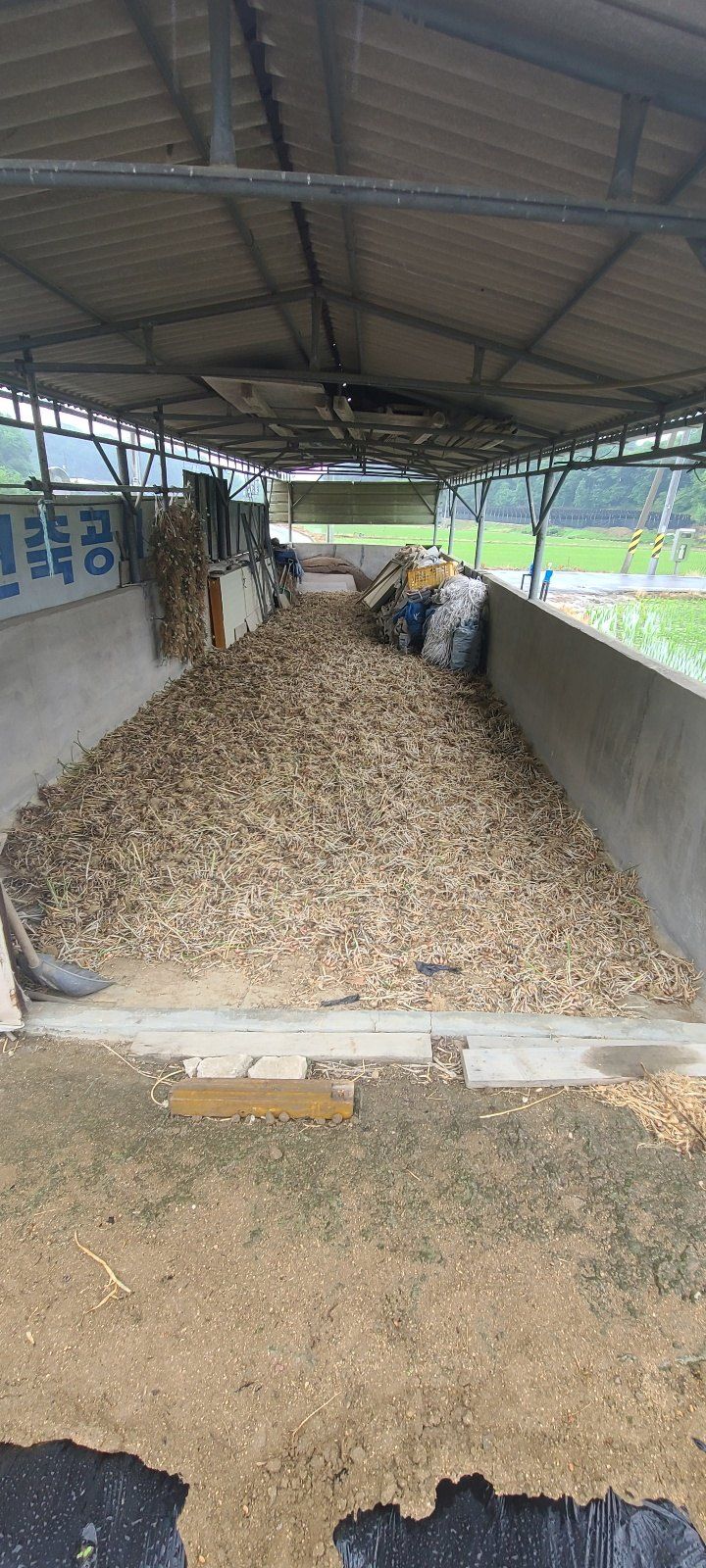 장터 상품 [당파씨앗 팝니다10키로25,000원] 썸네일