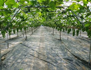 그린톡톡 오계상님의 자유주제 · 자유게시판 작성글 사진