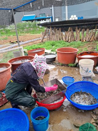 김석현님의 작성글 사진