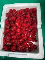 팜모닝 기타작물·자유게시판 게시글 이미지