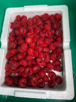 도곡님의 기타작물 · 자유게시판 작성글 사진