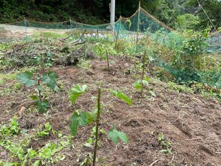 도곡님의 기타작물 · 자유게시판 작성글 사진