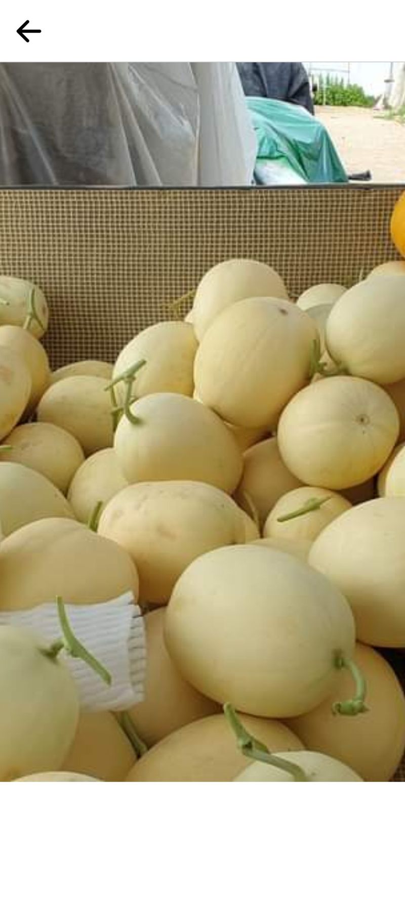 고철규님의 장터 판매 상품 [멜론 5K 6.5k 8k] 첨부 사진