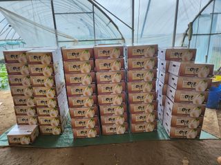 고철규님의 작성글 사진