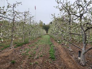 알 수 없음님의 사과 · 일상 작성글 사진