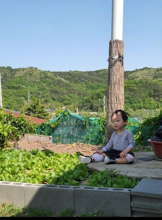 김학균님의 금쪽같은 내 작물 자랑하기 · 참여 작성글 사진