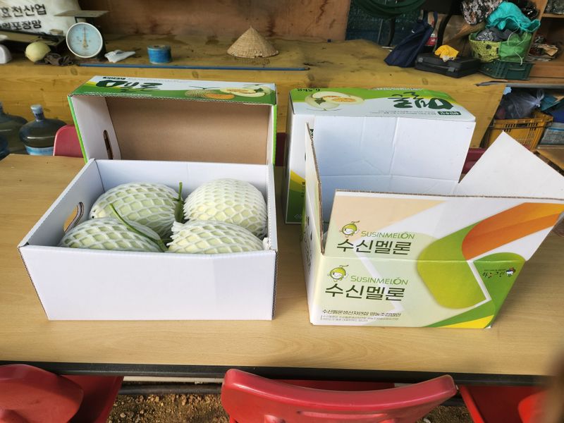 장터 상품 [홈런왕. 홈런스타] 썸네일