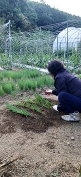 팜모닝 자유주제·자유게시판 게시글 이미지