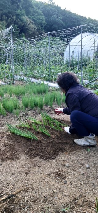 김해숙님의 자유주제 · 자유게시판 작성글 사진