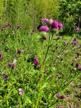 팜모닝 금쪽같은 내 작물 자랑하기·참여 게시글 이미지