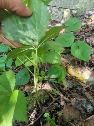 허웅님의 자유주제 · 자유게시판 작성글 사진