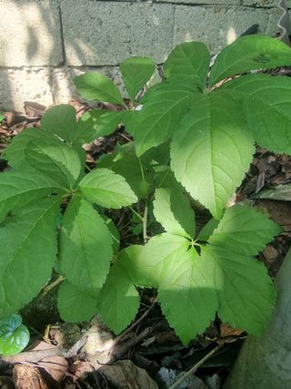 허웅님의 자유주제 · 자유게시판 작성글 사진