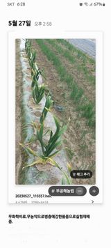 팜모닝 금쪽같은 내 작물 자랑하기·참여 게시글 이미지