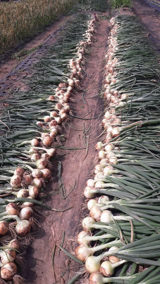 안복순님의 자유주제 · 자유게시판 작성글 사진