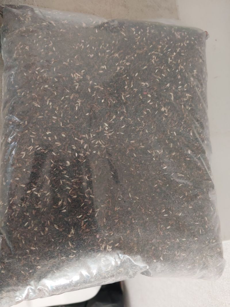 장터 상품 [산청 슈퍼약 도라지 씨앗] 썸네일