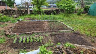 안계님의 금쪽같은 내 작물 자랑하기 · 참여 작성글 사진