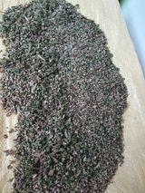 팜모닝 시금치·품종•종자 게시글 이미지