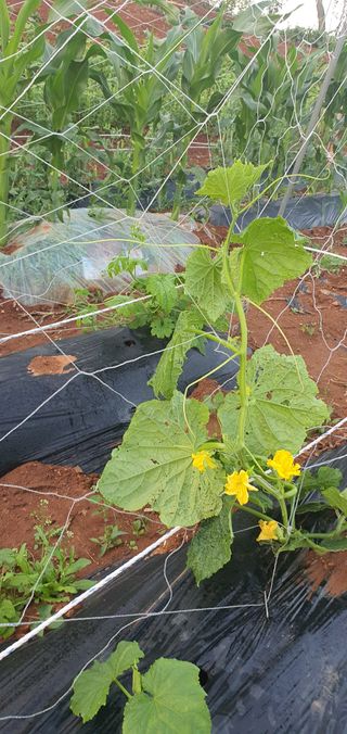 김인환님의 자유주제 · 자유게시판 작성글 사진