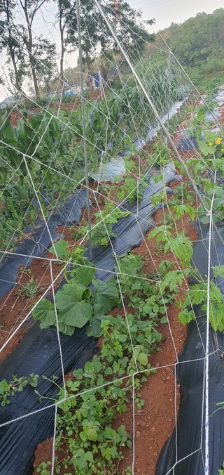 김인환님의 자유주제 · 자유게시판 작성글 사진