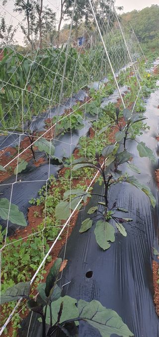 김인환님의 자유주제 · 자유게시판 작성글 사진