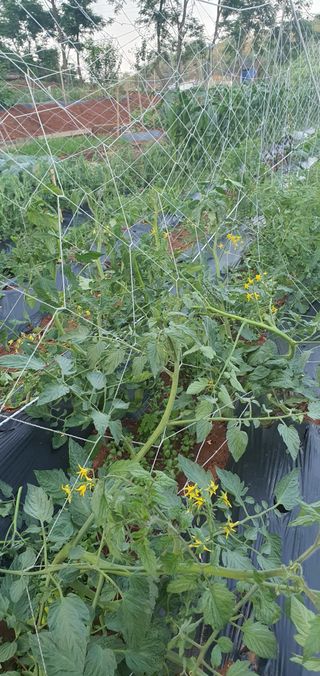 김인환님의 자유주제 · 자유게시판 작성글 사진