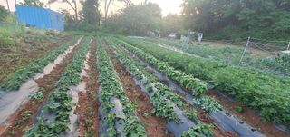 김인환님의 자유주제 · 자유게시판 작성글 사진