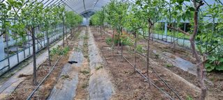 대삼팜스빌리지님의 자유주제 · 자유게시판 작성글 사진